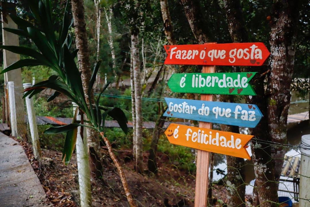 Photo of Others in Curitiba