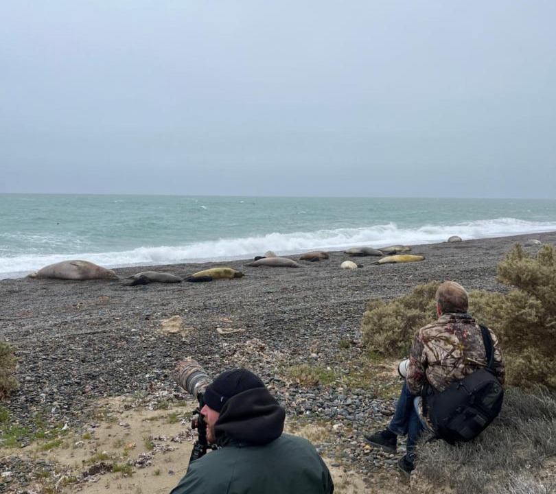 Photo of Others in Punta Delgada