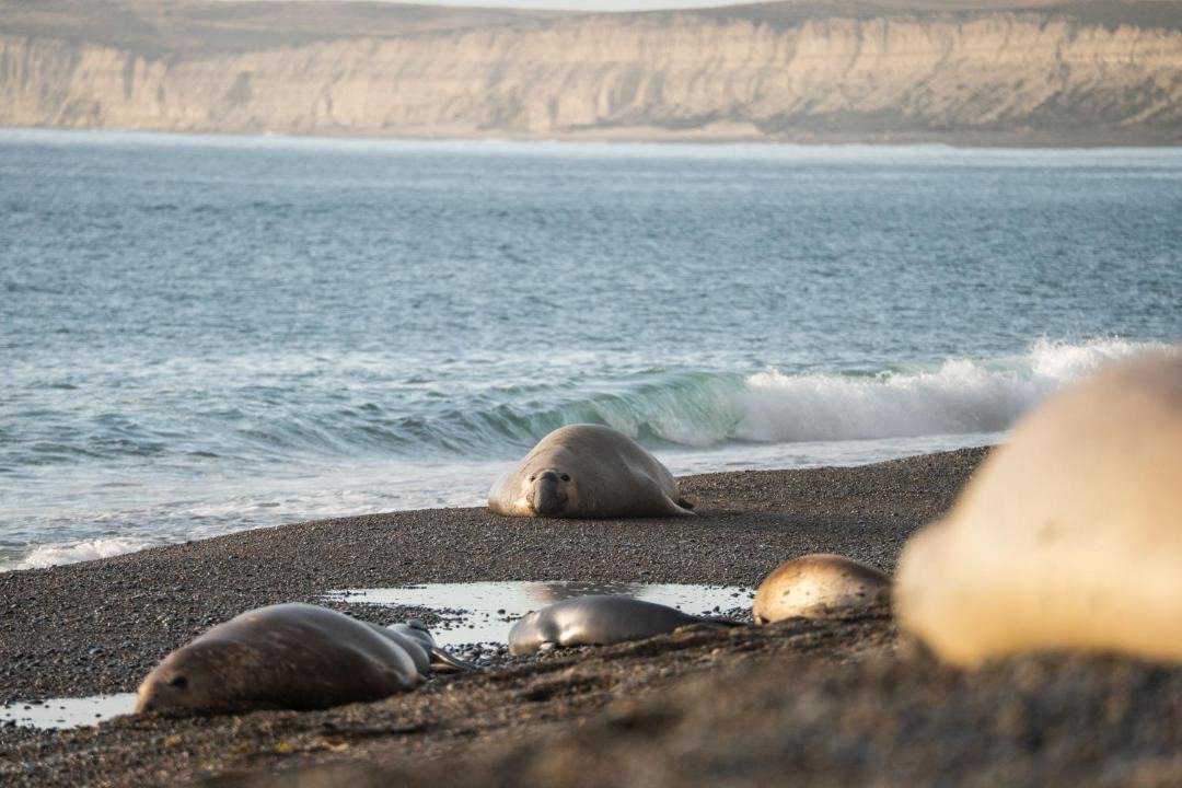 Photo of Others in Punta Delgada