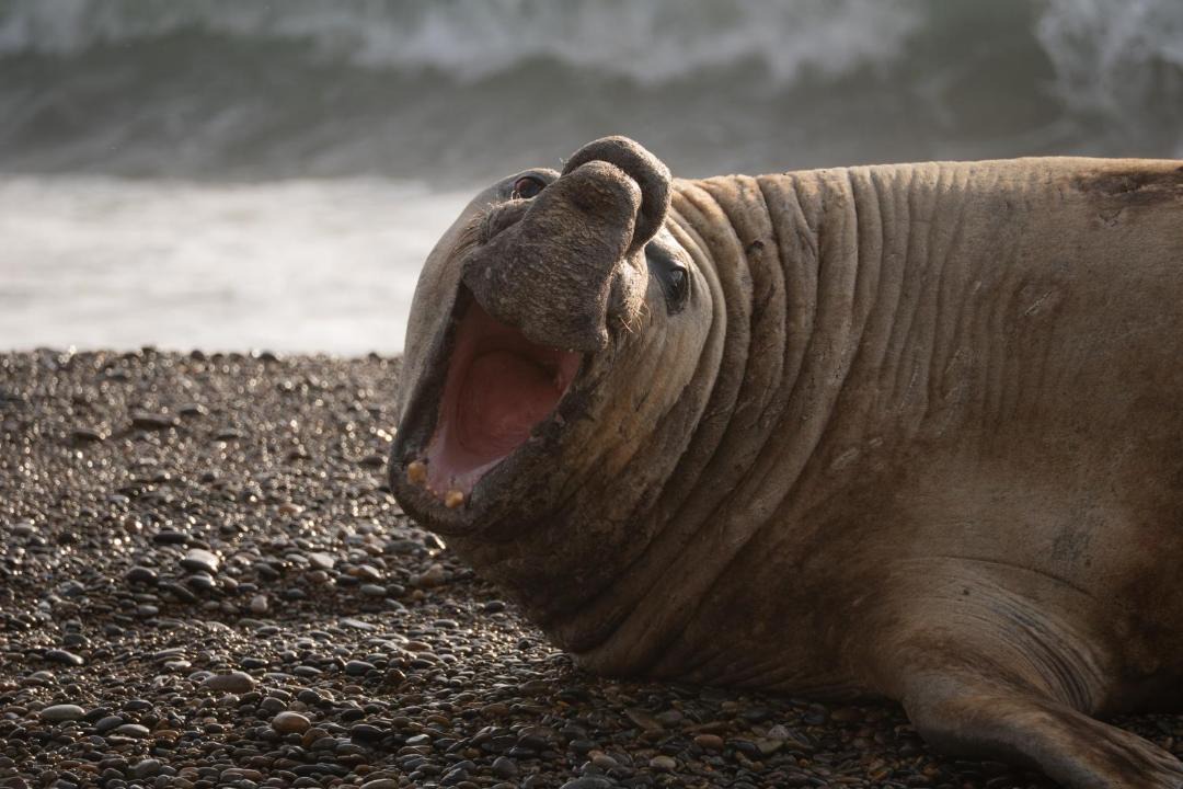 Photo of Others in Punta Delgada