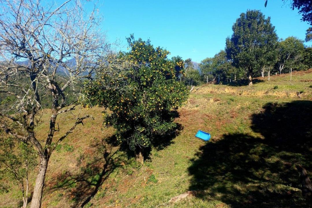 Photo of Others in Campina Grande Do Sul