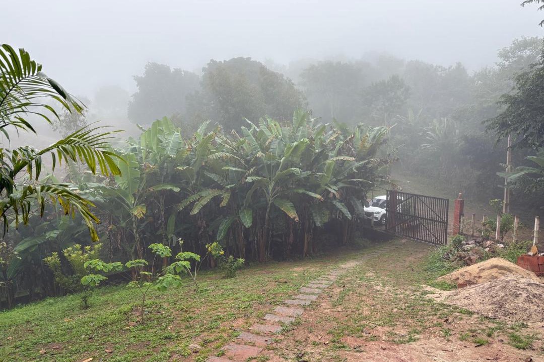 Photo of Others in Northeast Region