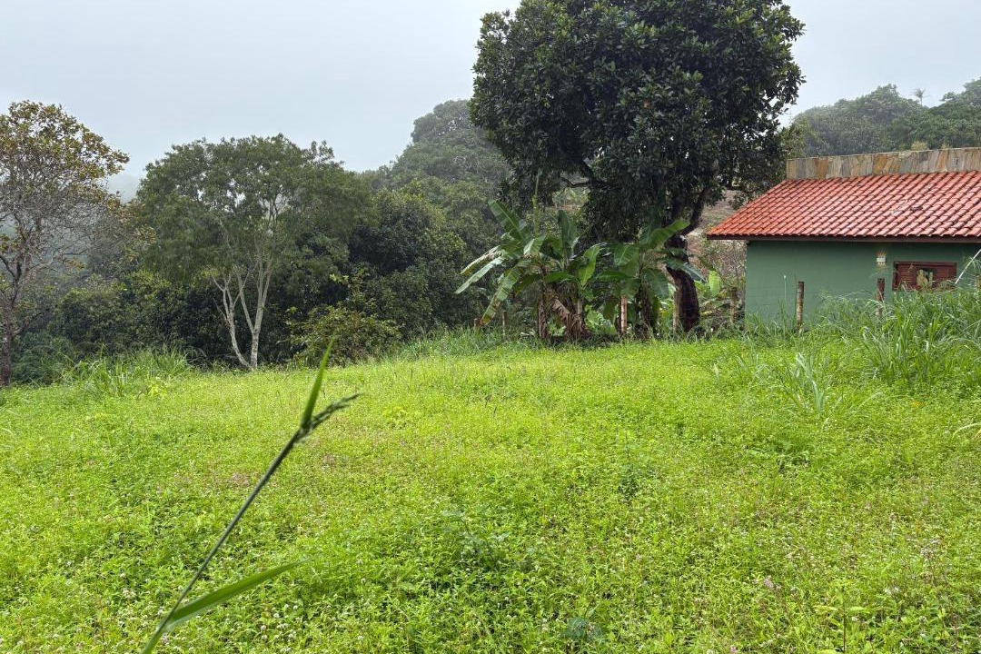 Photo of Others in Northeast Region