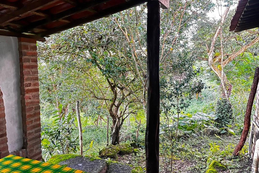 Photo of Others in Bonito