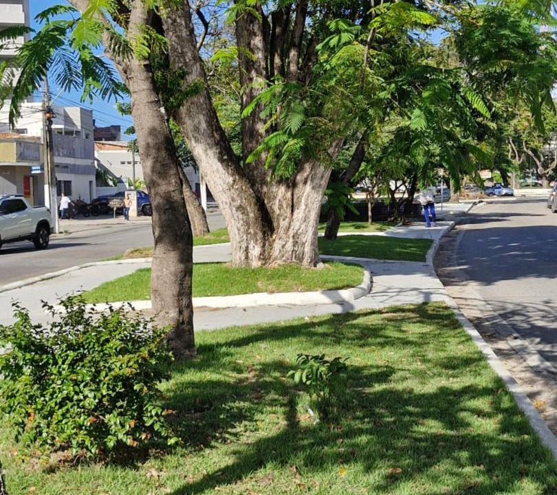 Photo of Others in Jaragua