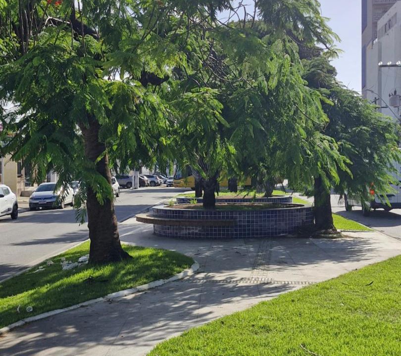 Photo of Others in Jaragua