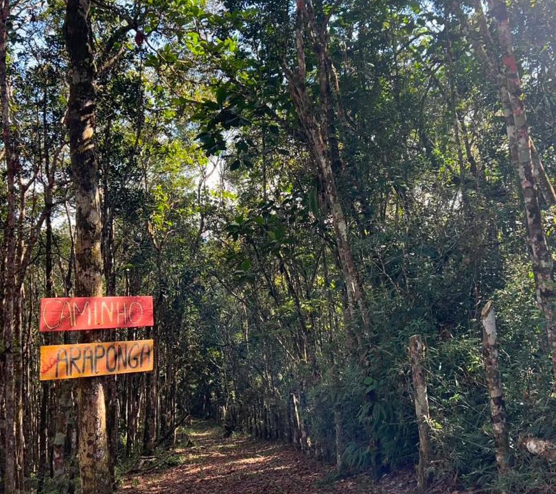 Photo of Others in Santa Rita do Ribeira