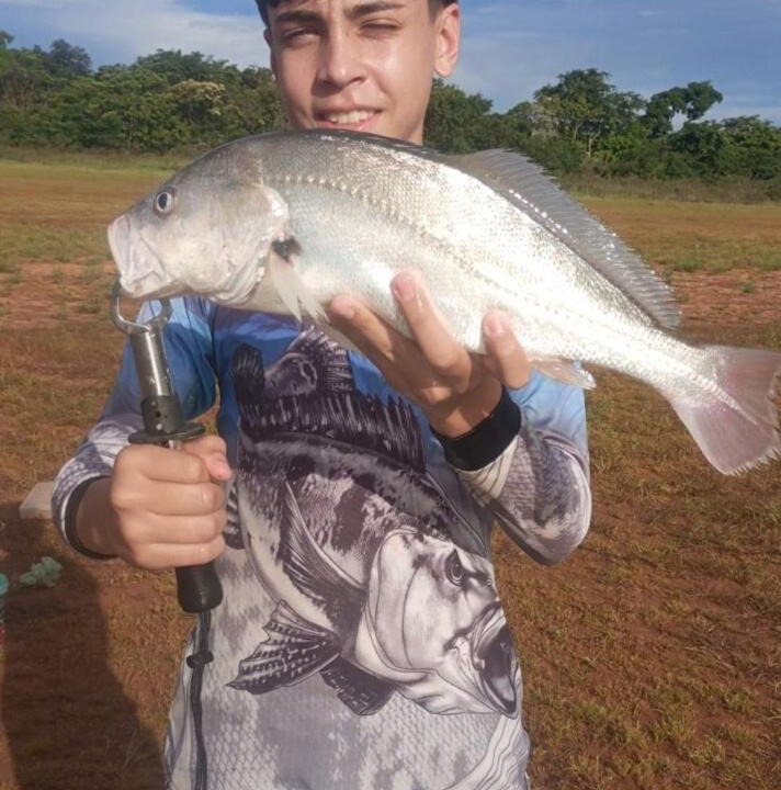 Photo of Others in Cardoso