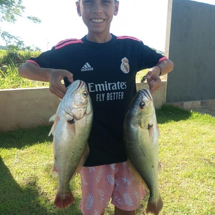 Photo of Others in Cardoso