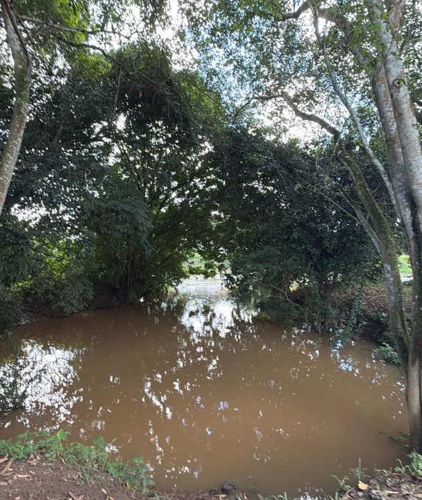 Photo of Others in Sao Lourenco da Mata