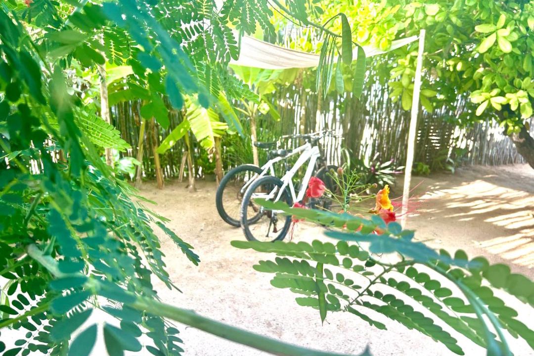 Photo of Others in Icarai de Amontada