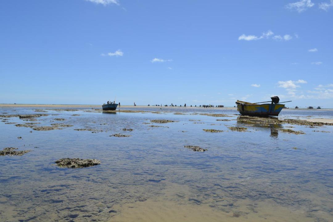Photo of Others in Pontal do Peba