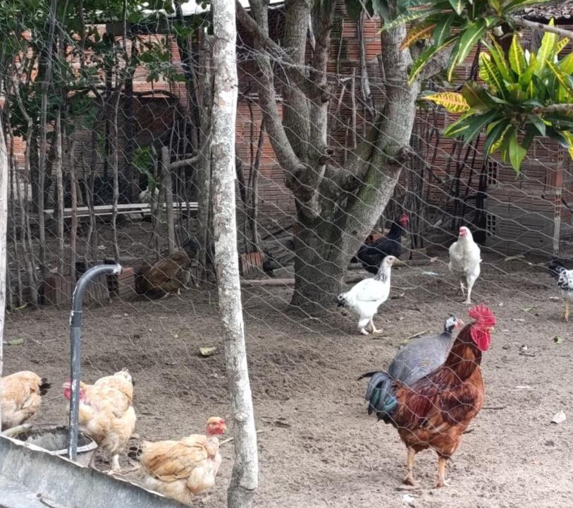 Photo of Others in Buique