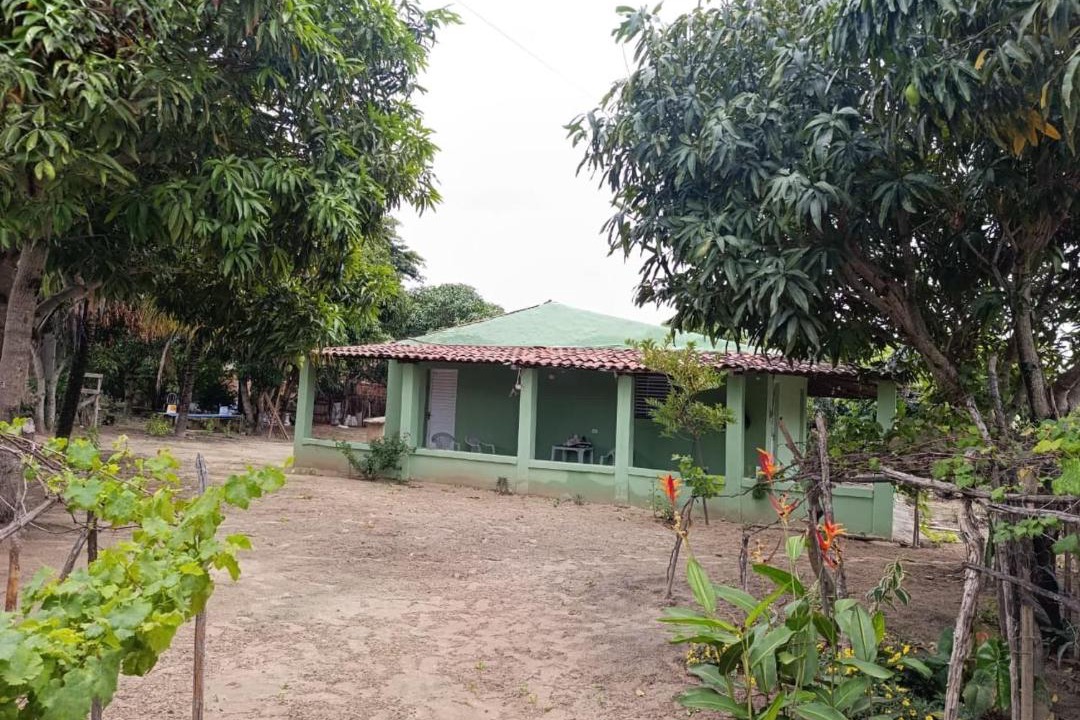 Photo of Others in Buique