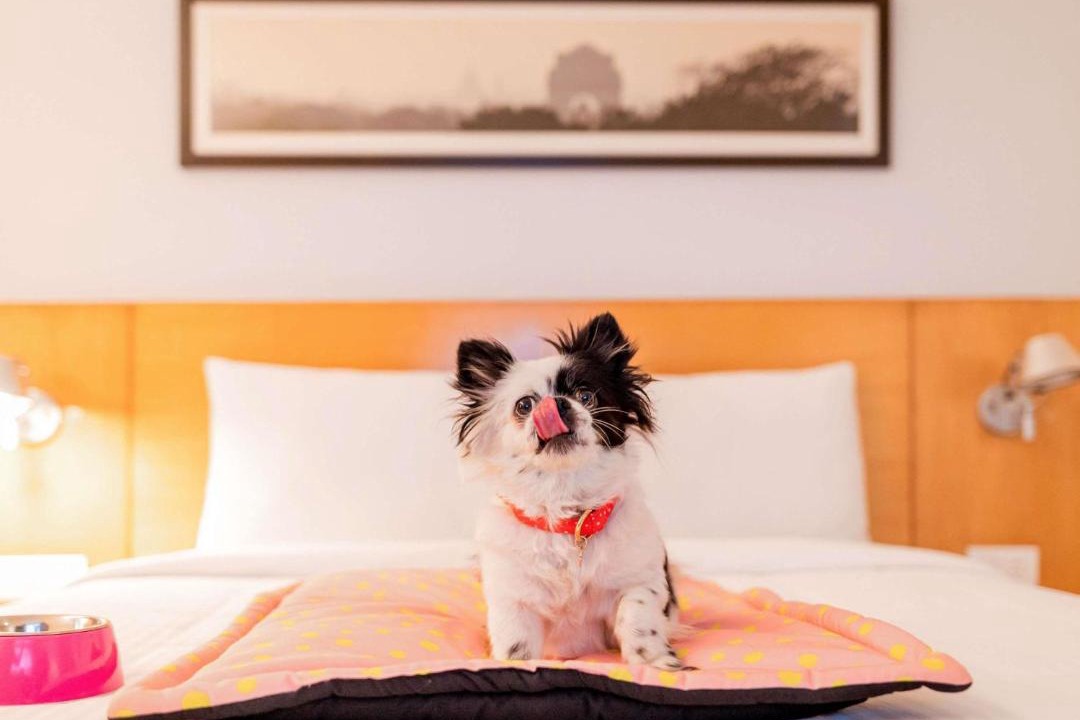 Photo of Bedroom in Boa Viagem