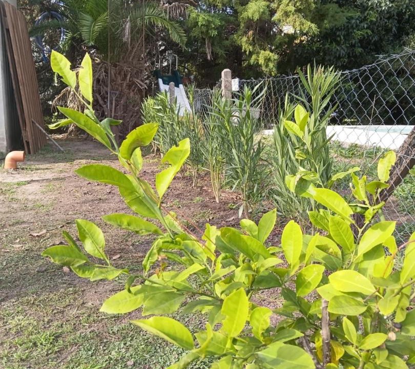 Photo of Outdoor in Rosario