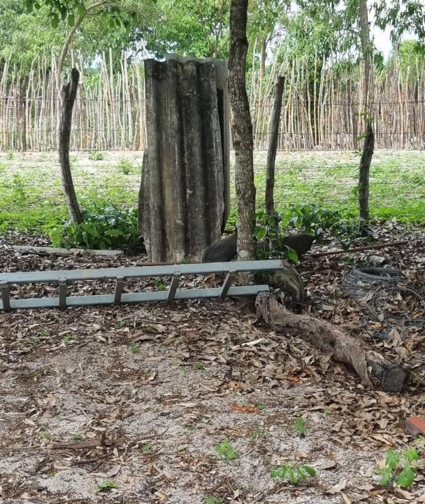 Photo of Others in Ouro Branco