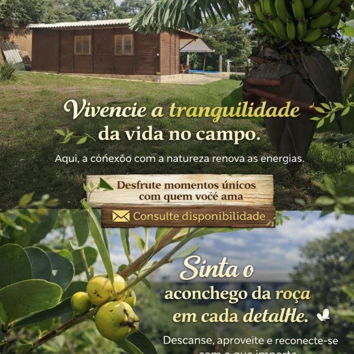 Photo of Others in Campina Grande Do Sul