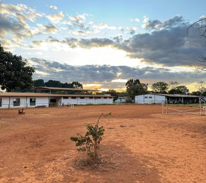 Photo of Buildings in Gama