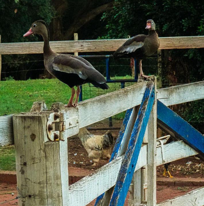 Photo of Others in Olimpia