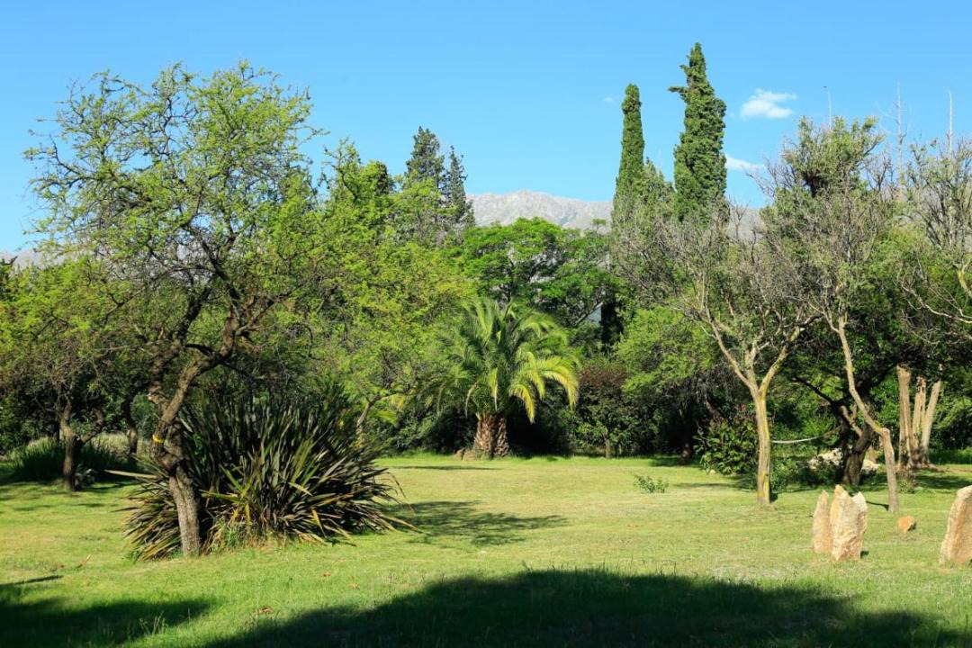 Photo of Others in San Javier