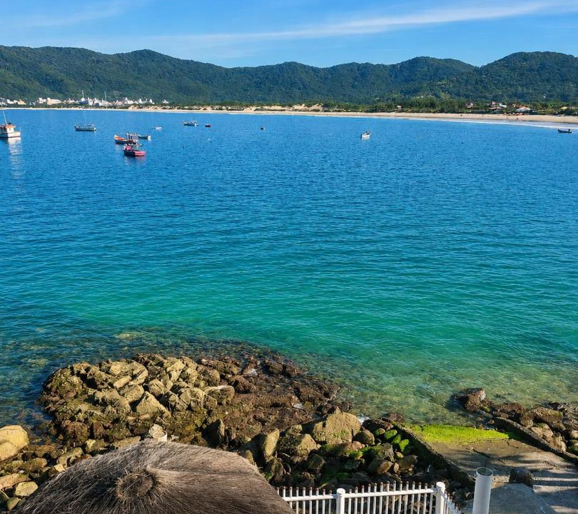 Photo of Others in Pantano do Sul
