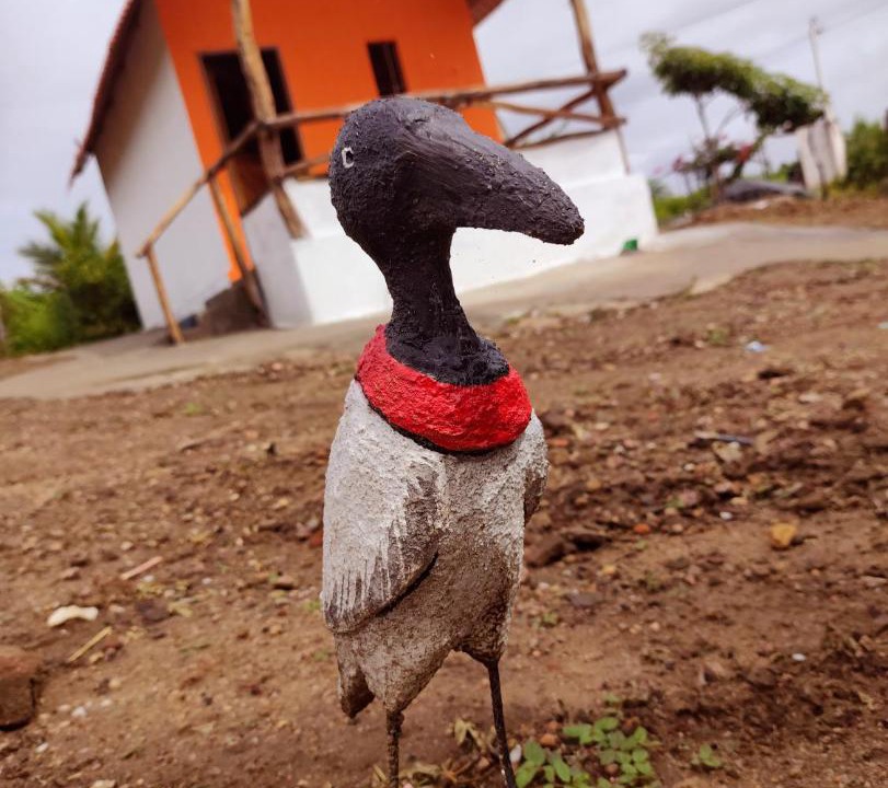Photo of Others in Cerro Cora