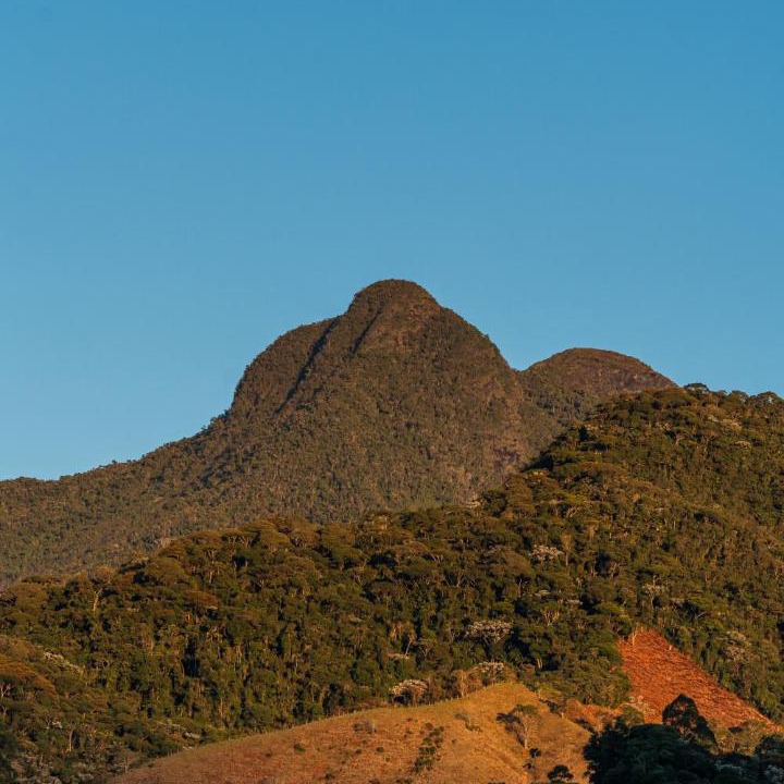 Photo of Others in Divino de Sao Lourenco