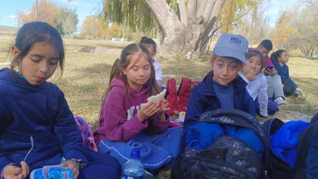 Photo of Others in Tupungato