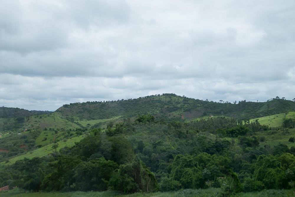 Photo of Others in Pecanha