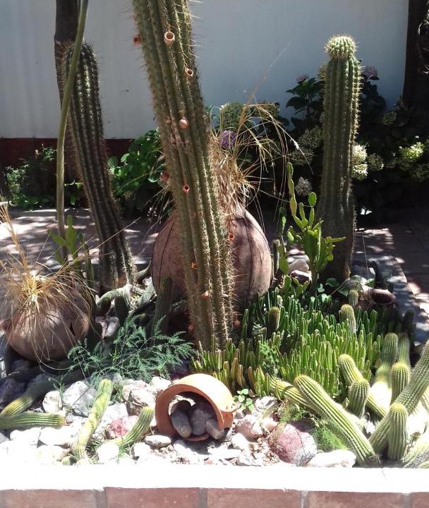 Photo of Others in Cafayate