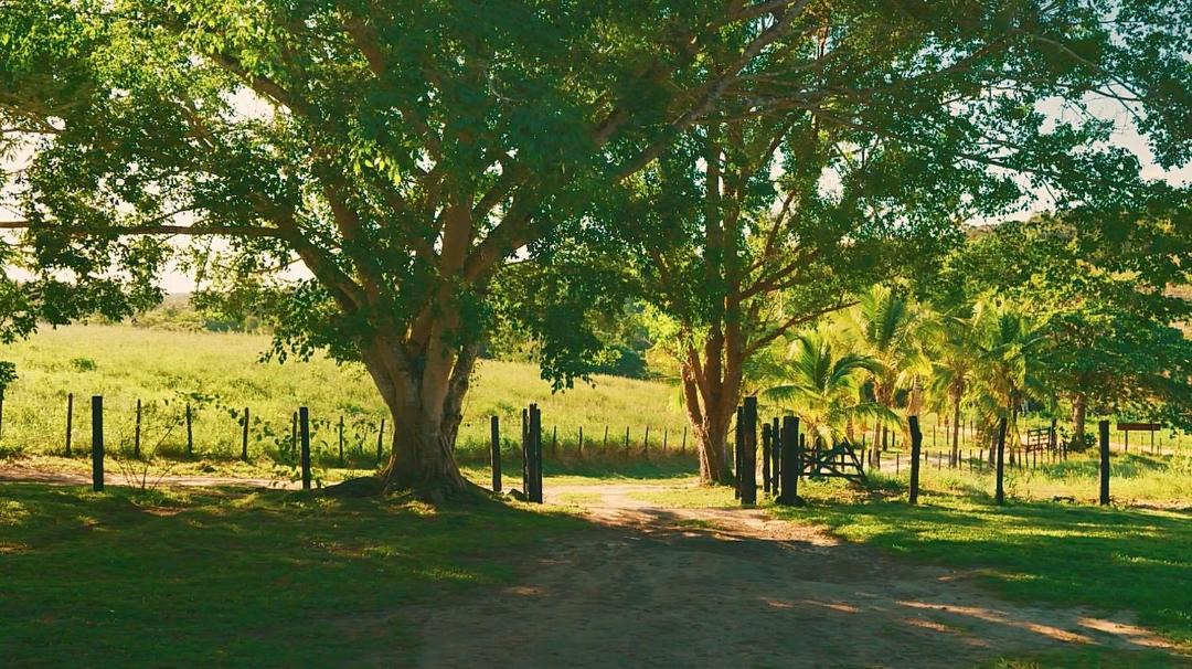 Photo of Others in Pojuca