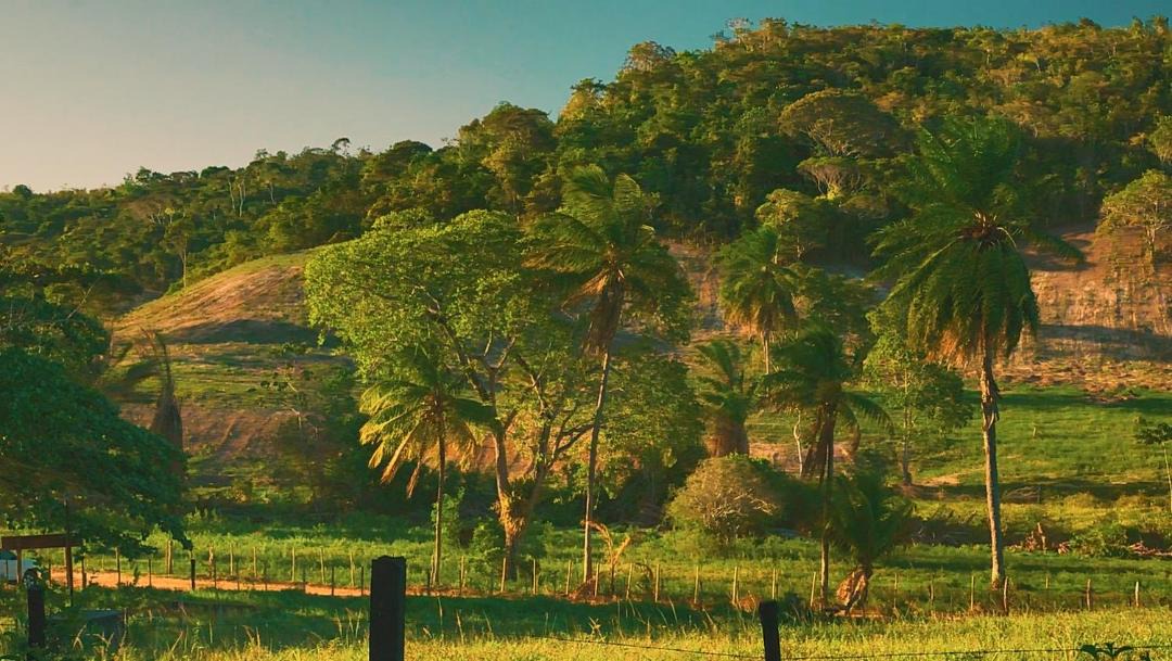 Photo of Others in Pojuca
