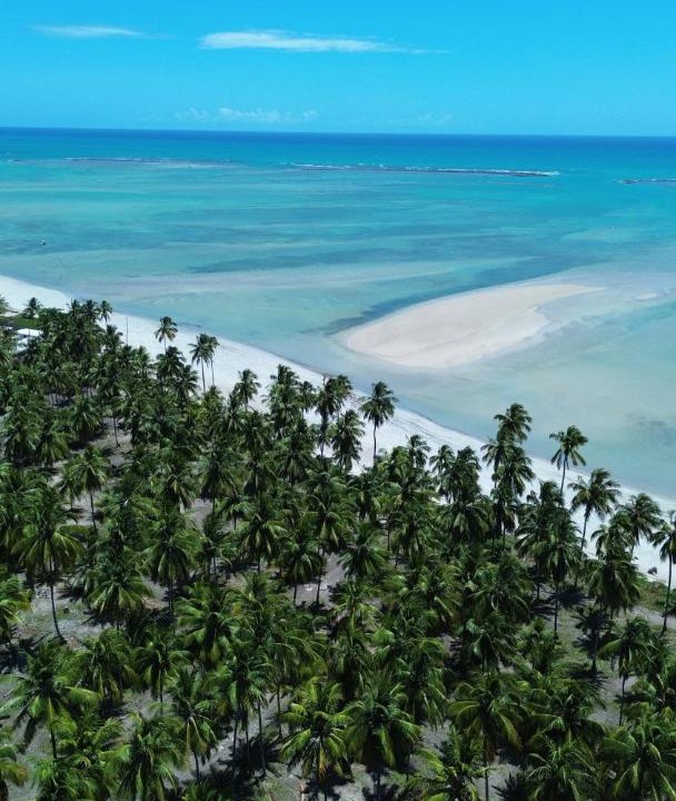 Photo of Others in Tatuamunha