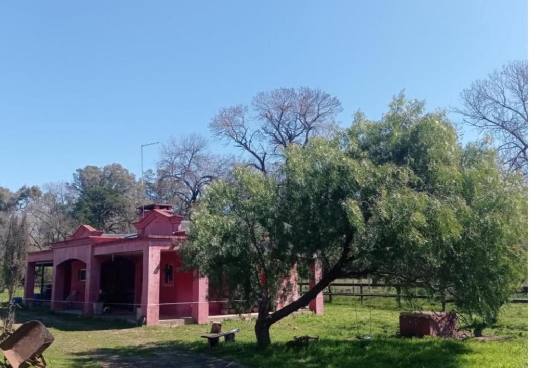 Photo of Others in Pilar Centro