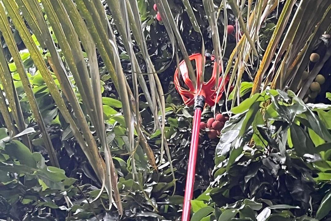 Photo of Others in Nova Andradina