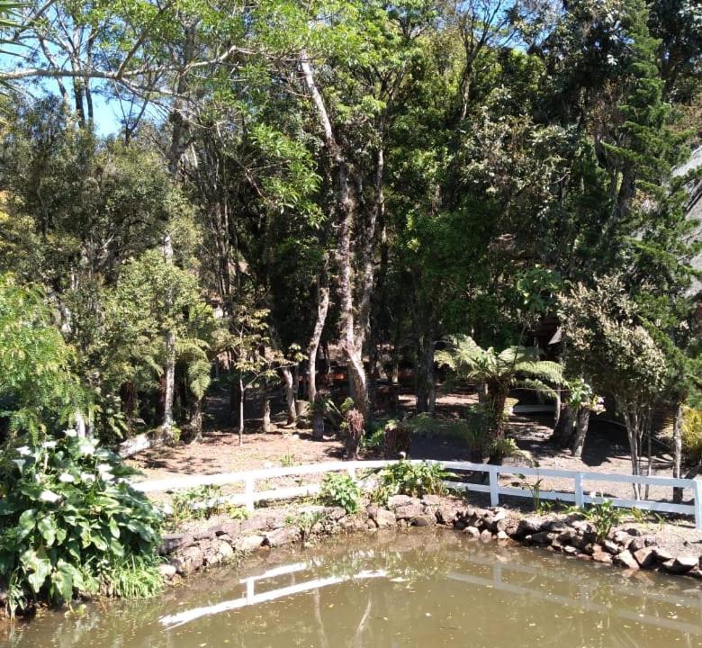Photo of Others in Riozinho