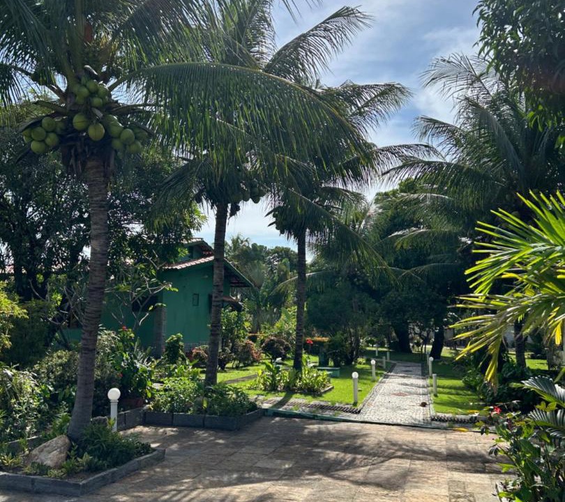 Photo of Outdoor in Paracuru