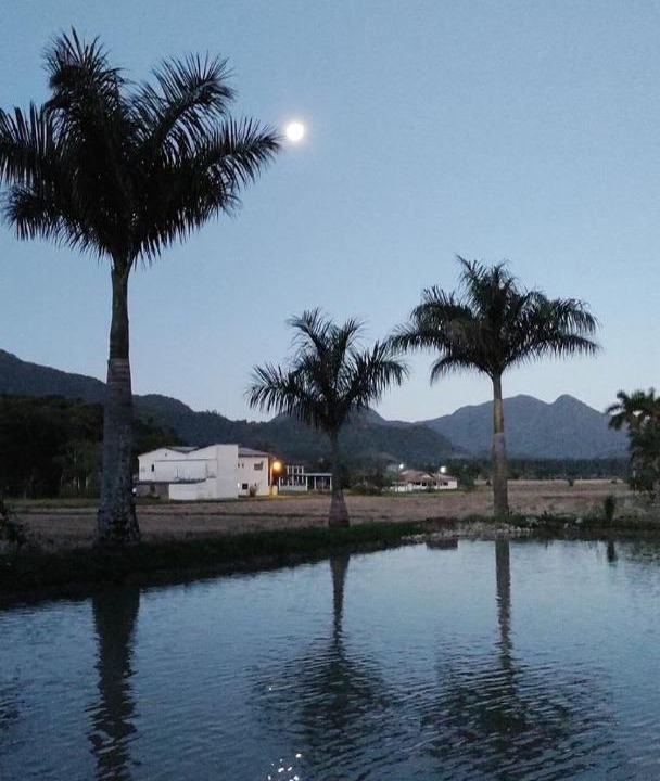 Photo of Others in Braco do Sul