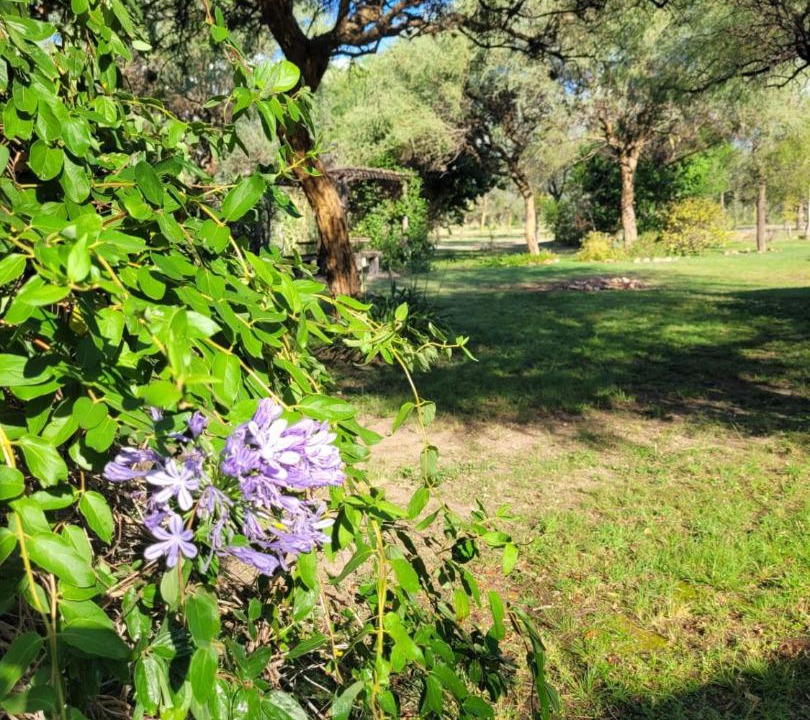 Photo of Outdoor in San Javier