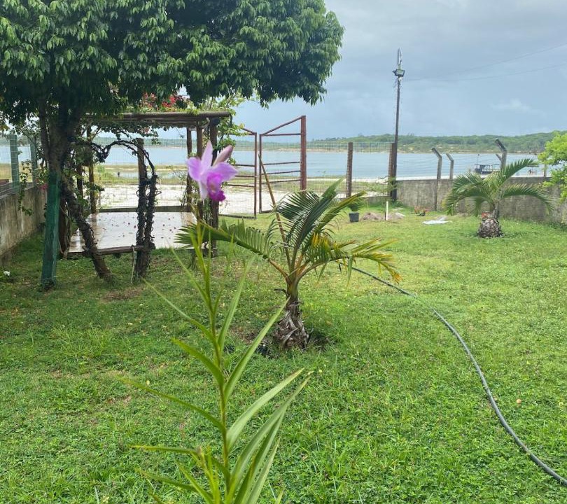 Photo of Others in Nisia Floresta