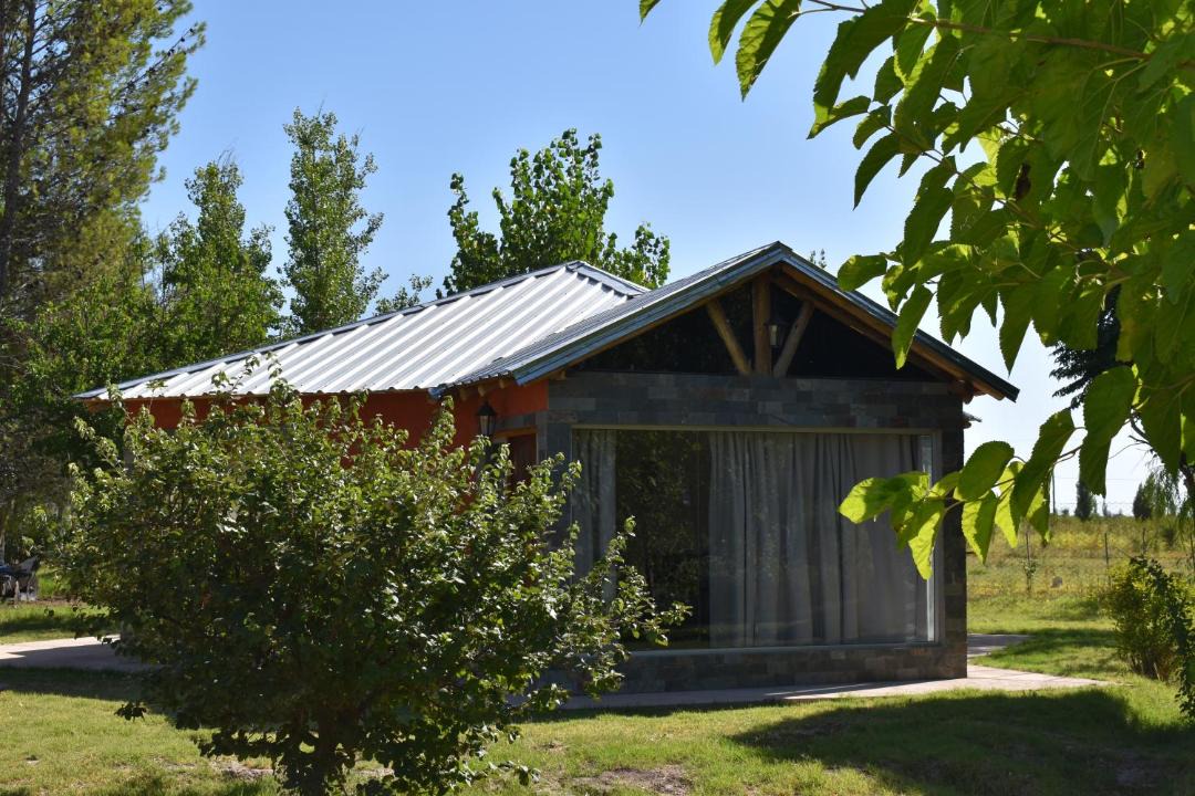 Photo of Others in Mendoza Wine Region