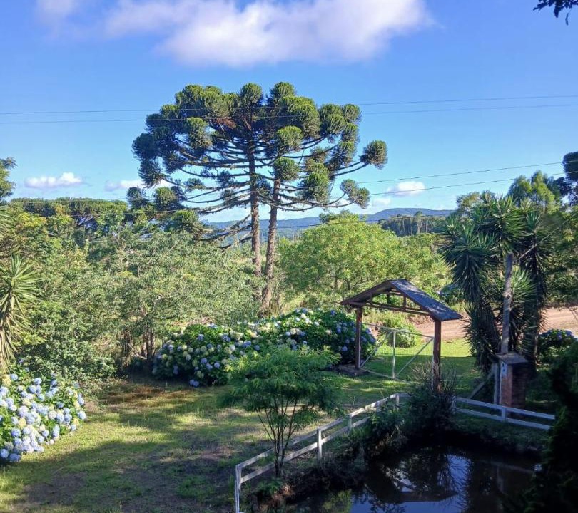 Photo of Others in Riozinho