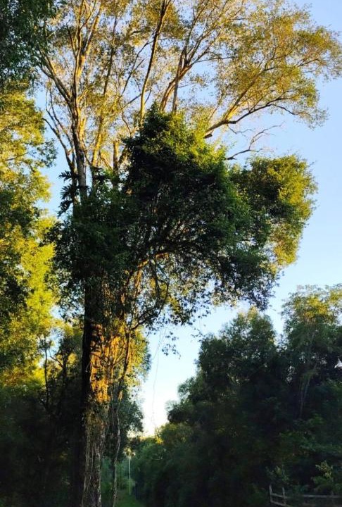 Photo of Others in General Urquiza