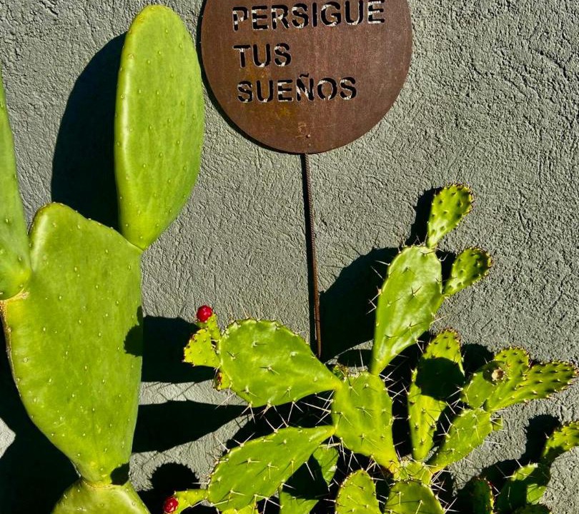 Photo of Others in Chacabuco Department