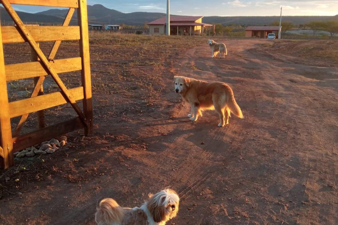 Photo of Others in Northeast Region
