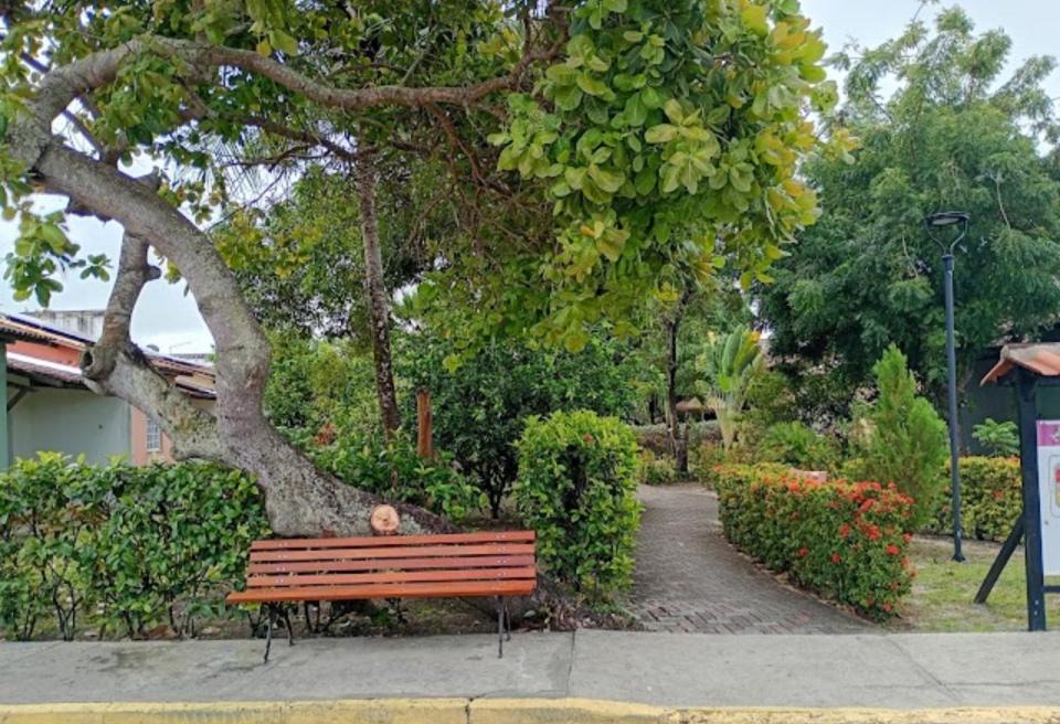 Photo of Others in Barra Nova