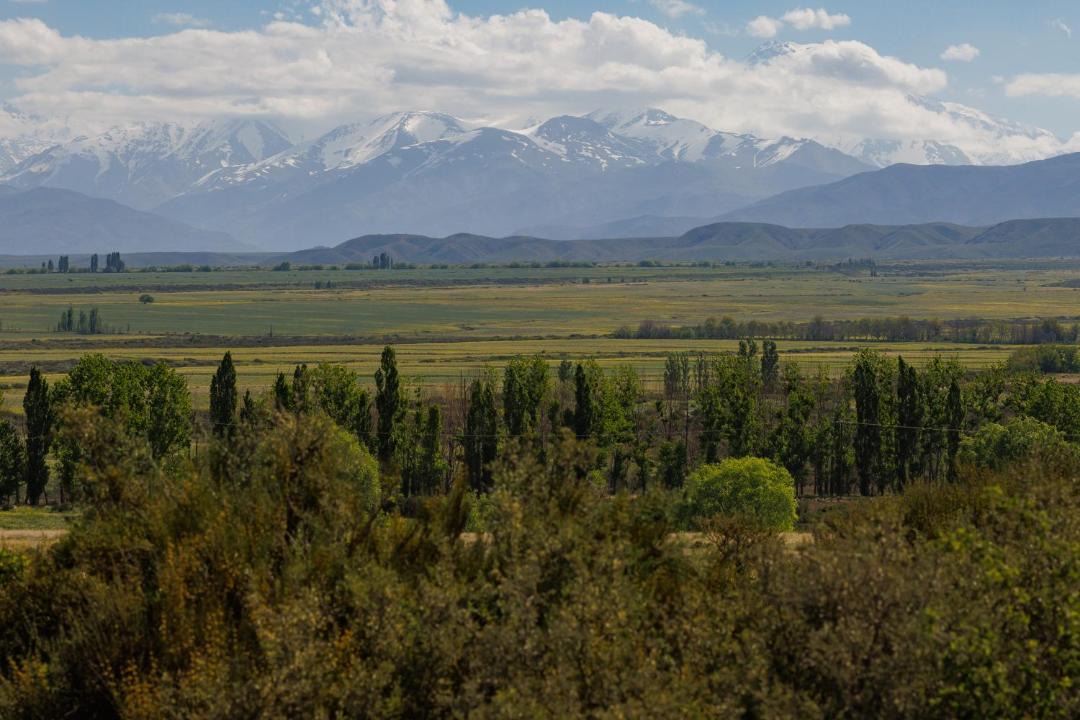 Photo of Others in Tupungato