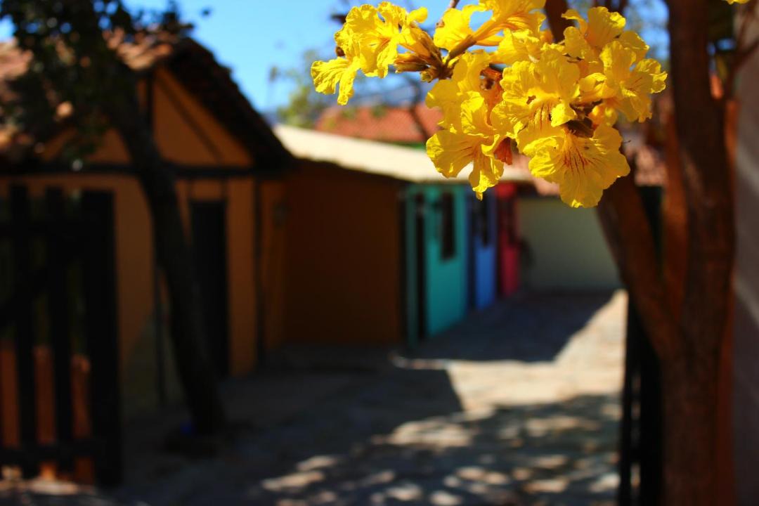 Photo of Others in Serra do Cipo