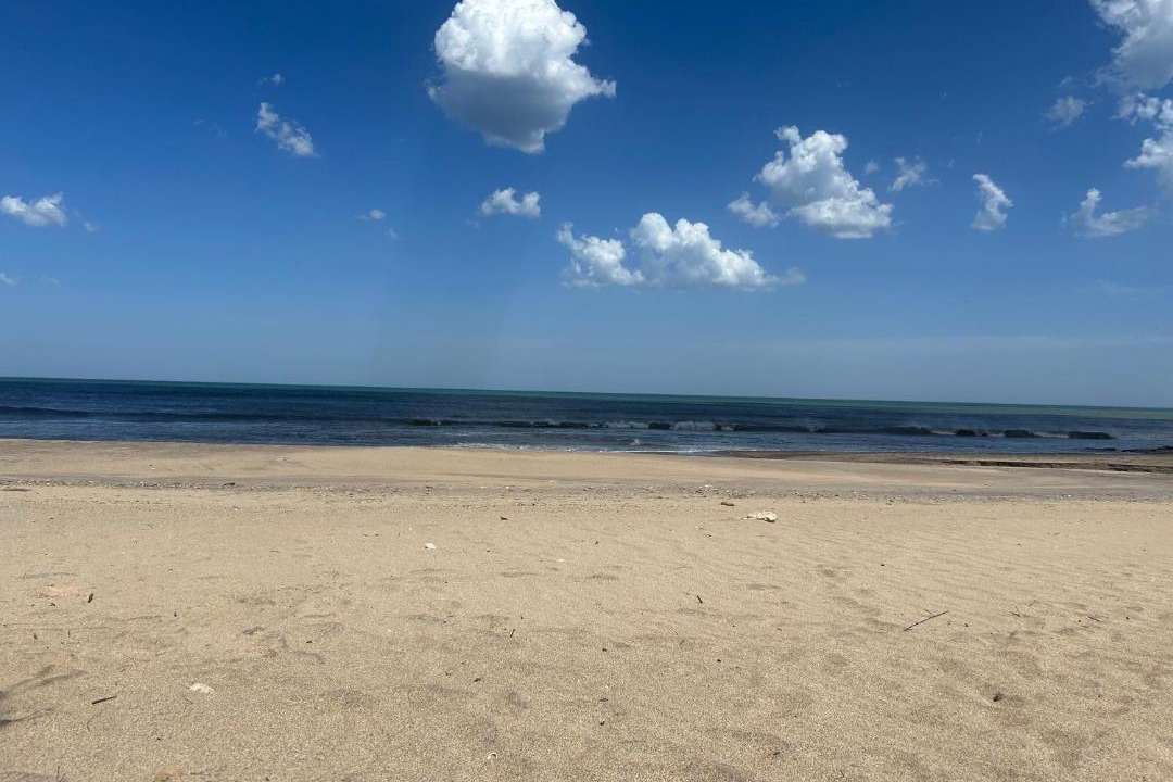 Photo of Others in Mar del Sur